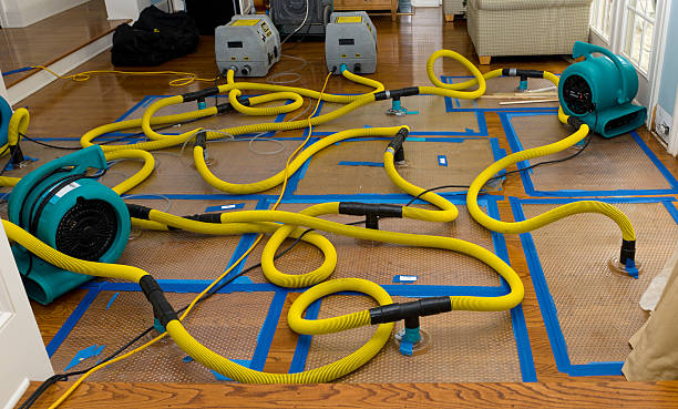 Professional Structural Drying And Dehumidification technician working in Waccabuc, NY